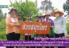 สำนักวิทยบริการฯ จัดแหล่งเรียนรู้เกษตรอินทรีย์และศูนย์การเรียนรู้เกษตรพอเพียง ในโครงการโรงเรียนต้นแบบเกษตรอินทรีย์เพื่อการเรียนรู้ในศตวรรษที่ 21
